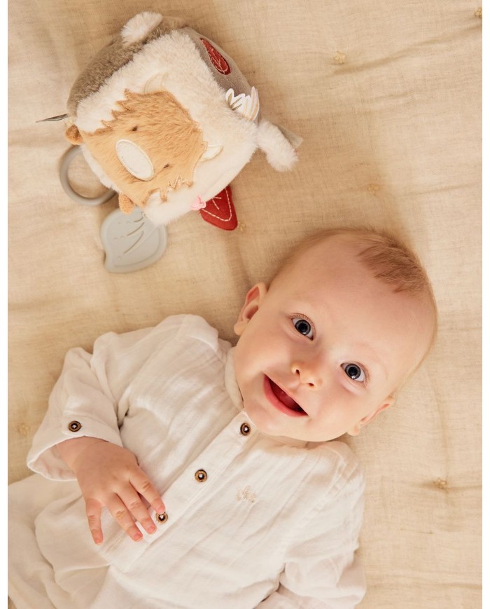 Cube multi-activités - Fluffy, Orso & Lily