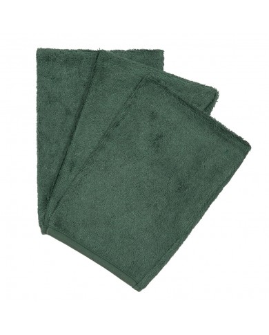 Gants de toilette (3 pieces) - Aspen green