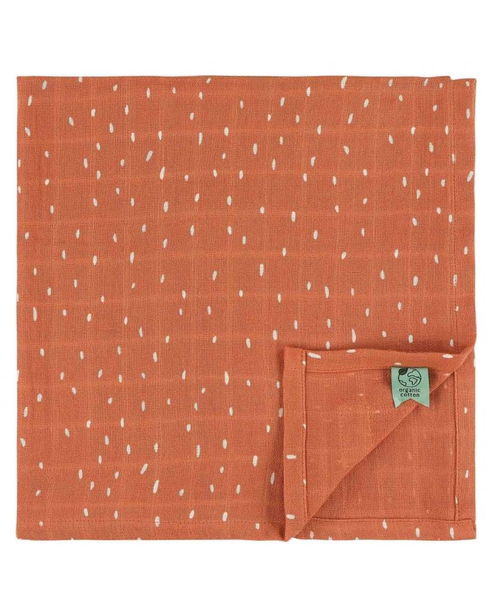 Lot de 3 tétras 55x55cm - Fierce Fox