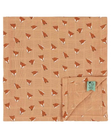 Lot de 3 tétras 55x55cm - Fierce Fox