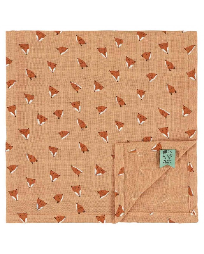 Lot de 3 tétras 55x55cm - Fierce Fox