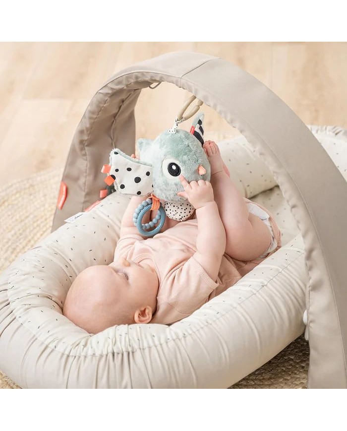 Jouet d'activité sensoriel - Birdee - Bleu