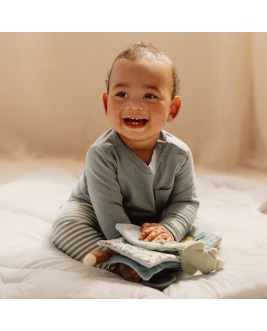 Livre pour poussette - Forest Friends