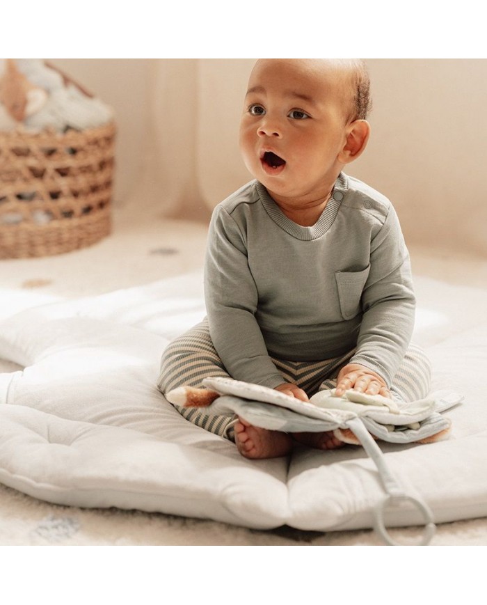 Livre pour poussette - Forest Friends