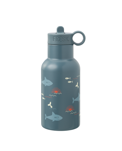 Gourde thermos 350 ml - Shark