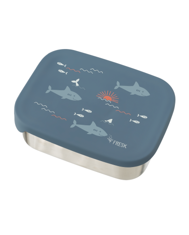 Lunchbox Shark