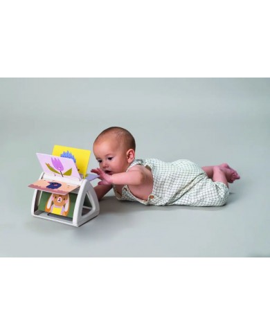 Tummy-Time Spinning Book