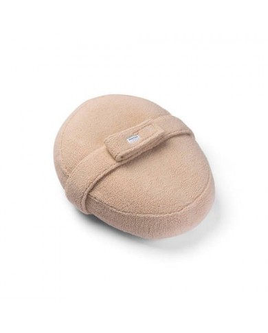 relax cover teddy biscuit