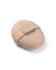 relax cover teddy biscuit