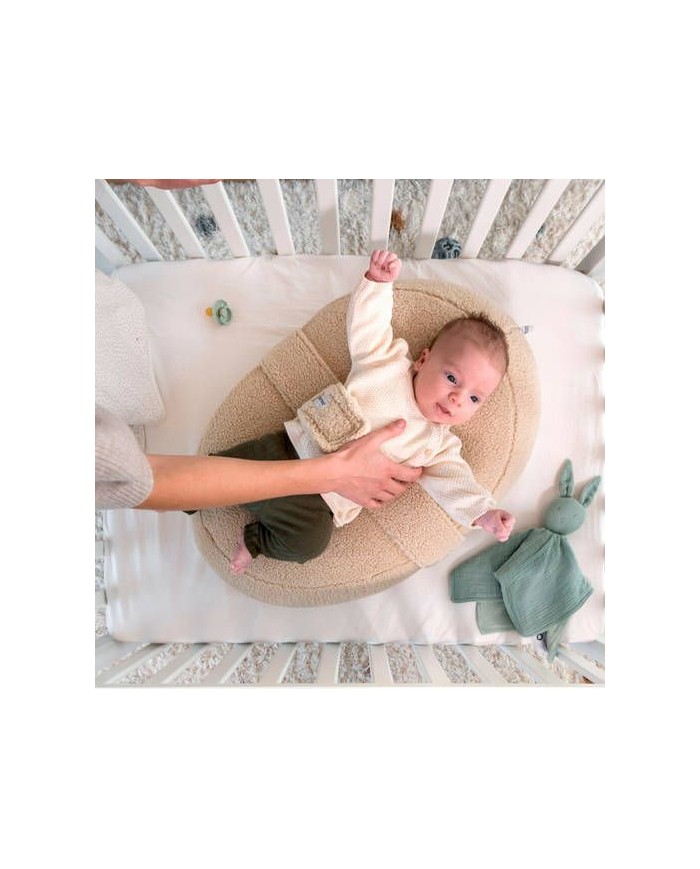 relax cover teddy biscuit