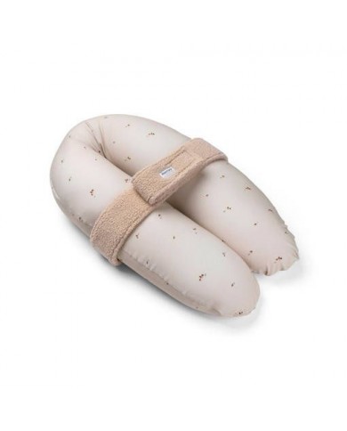 relax cover teddy biscuit