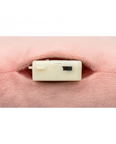 Radio sonore Jeanne le chat