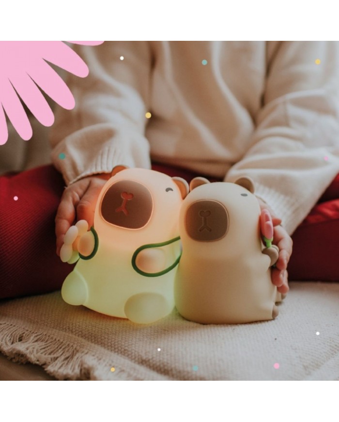 Veilleuse Capybara Fleuriste