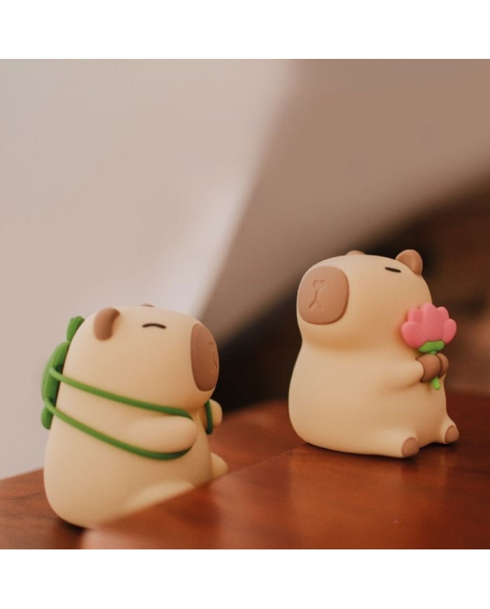 Veilleuse Capybara Fleuriste