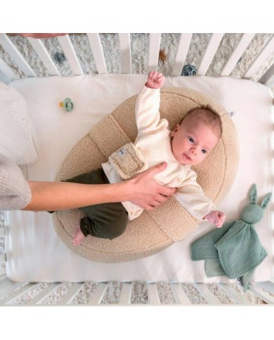 relax cover teddy biscuit