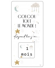 Plaquette photo - 12 premiers mois - 14 x 30 cm - Lune étoile