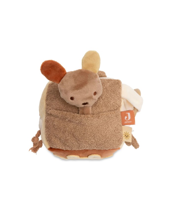 Cube d'Activités - kangourou