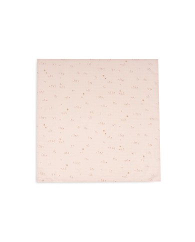 Lange Gaze de Coton Small 70x70cm - Pretty Picnic - 3 Unités