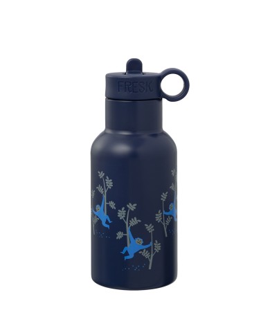 Gourde thermos 350 ml - Monkey