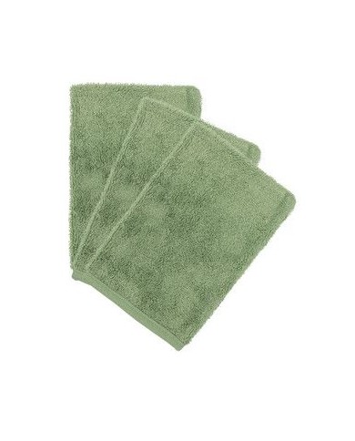 Lot de 3 gants de toilette - Aloe green