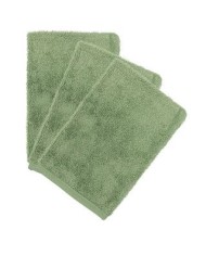 Lot de 3 gants de toilette - Aloe green