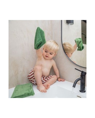 Lot de 3 gants de toilette - Aloe green