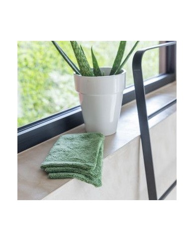 Lot de 3 gants de toilette - Aloe green