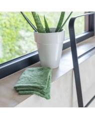 Lot de 3 gants de toilette - Aloe green