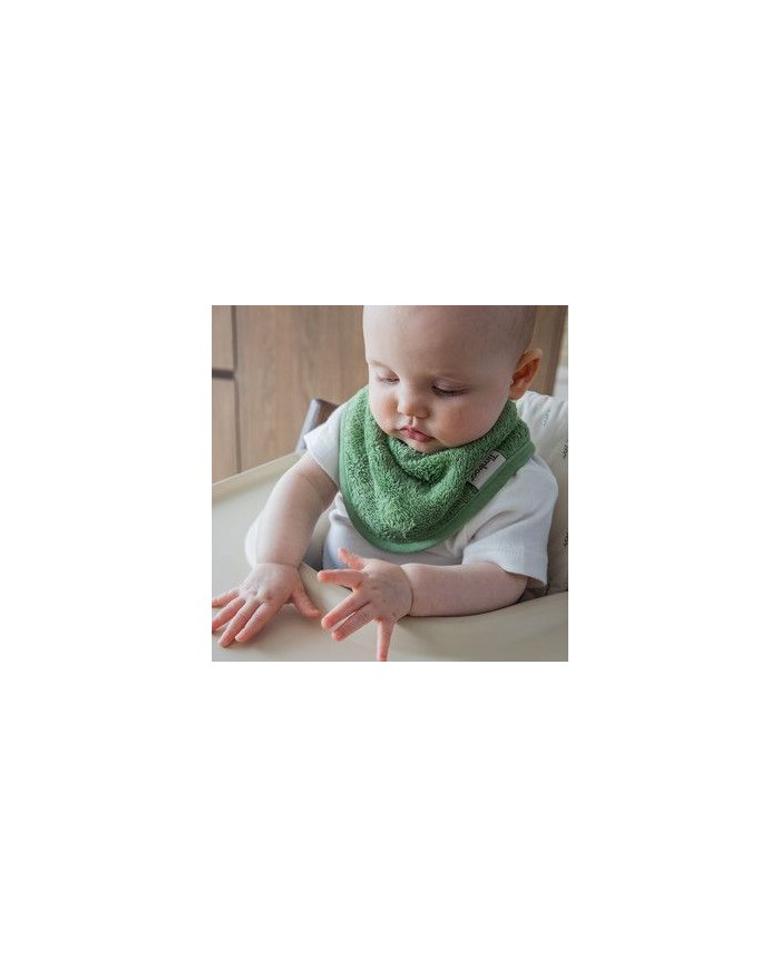 Bandana 36x20cm - Aloe Green