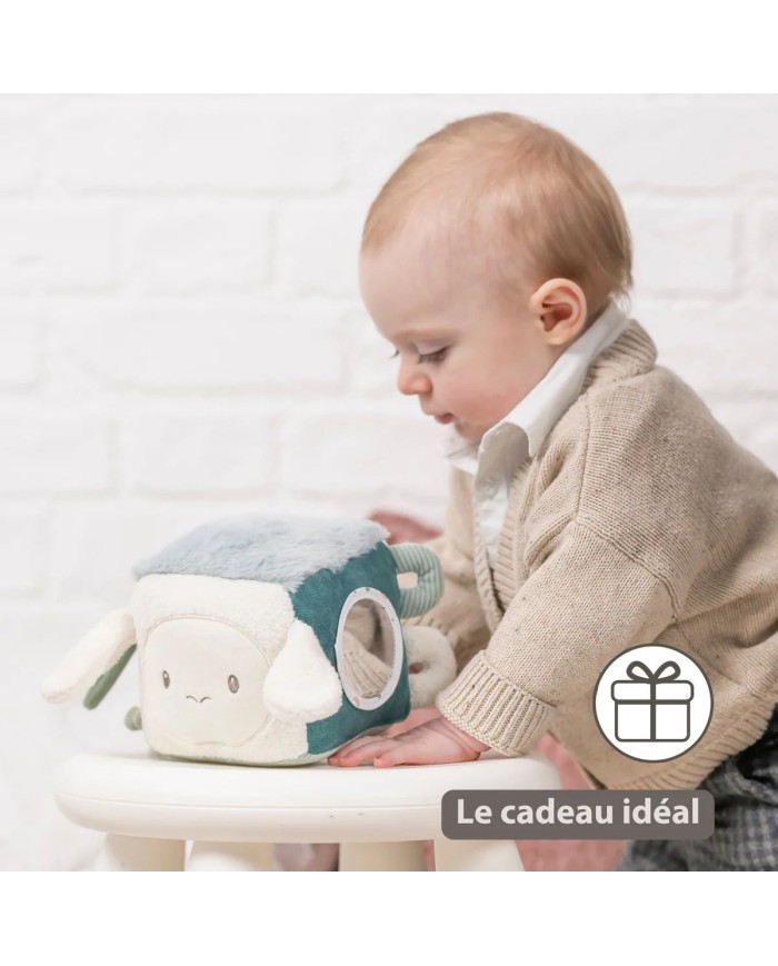 Cube d’Activité Doux Lapidou - 18 cm - Vert Tilleul