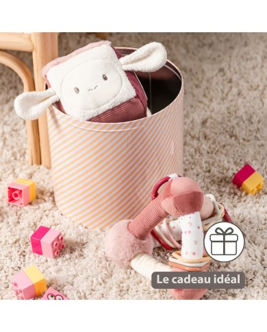 Cube d’Activité Doux Lapidou - 18 cm - Rose poudré