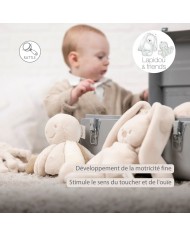 Pieuvre d'activité Lapidou - sable
