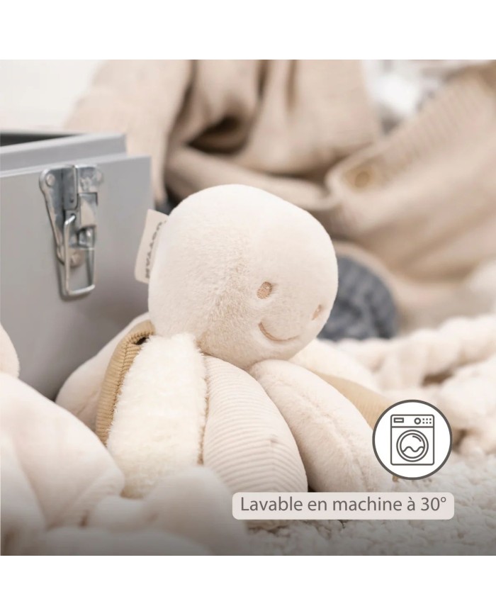 Pieuvre d'activité Lapidou - sable
