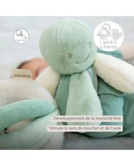 Pieuvre d'activité Lapidou - vert tilleul